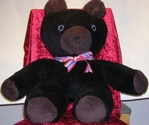 Black bears need love!