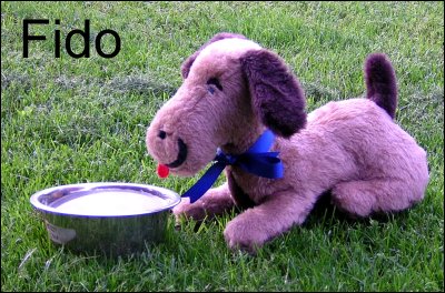 Fido Dog