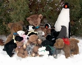 Teddy Bear Picnic