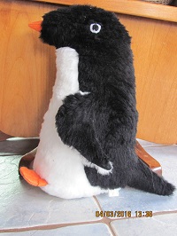 Adult Penquins are so cool!