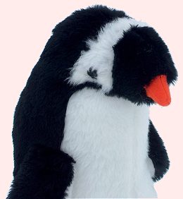 Adult Penquin